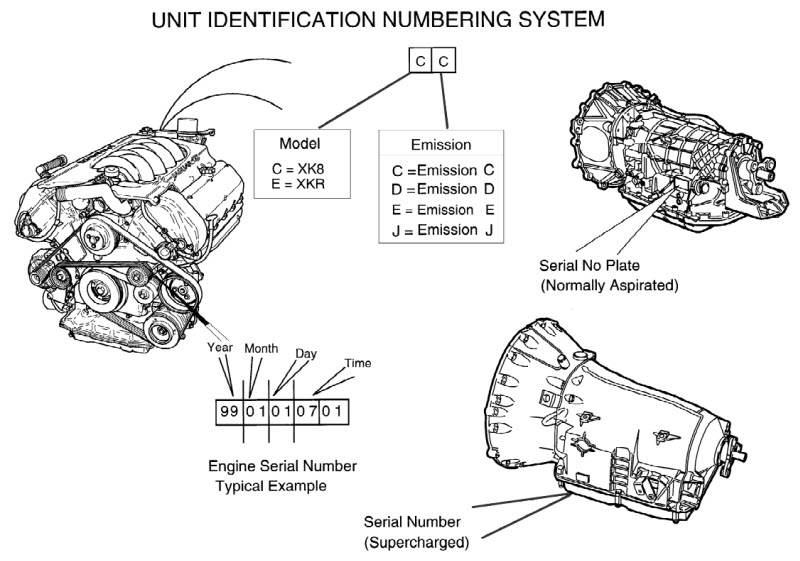 29 1997 Jaguar Xk8 Fuse Box Diagram - Wiring Diagram List